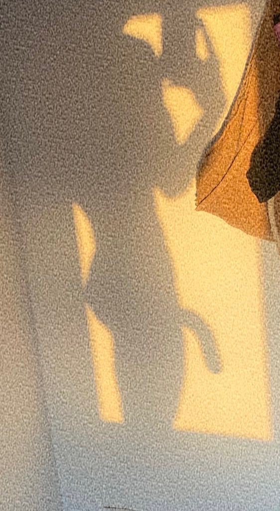 I need bae for Valentines day ❤️