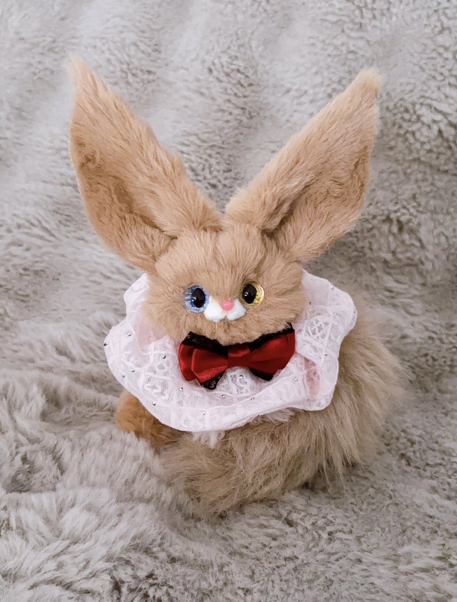 バレンタインケモノ双子の子、ヤフオクにておうち探してマース