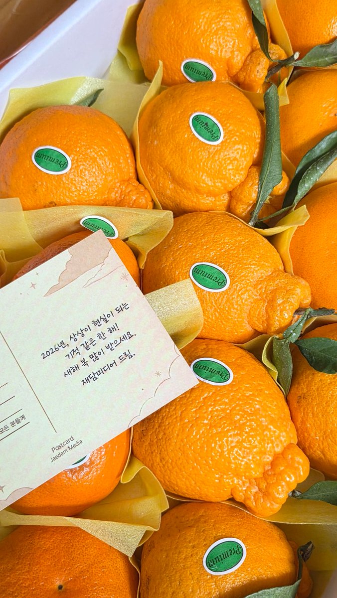 김백숙 tweet media