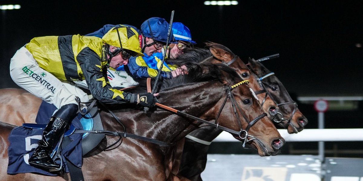 Alan King Racing Club tweet media