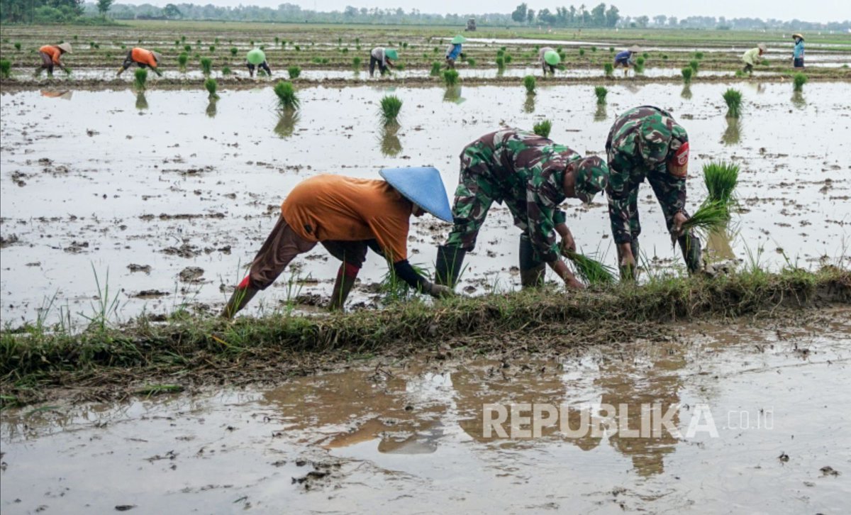 DudinnImaduddin's tweet photo. Gesss, TNI AD memahami bhw pangan merupakan urusan strategis bangsa.  
 Sinergi TNI DanPETANI https://t.co/JRMM7Zvcs7