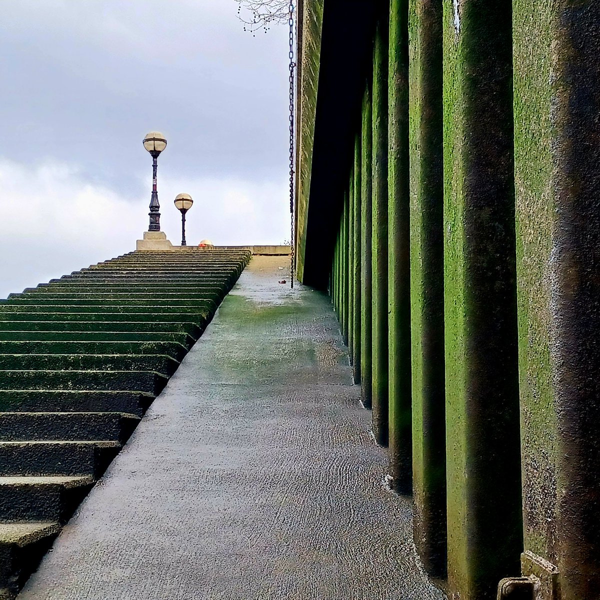 Ian Downes tweet media