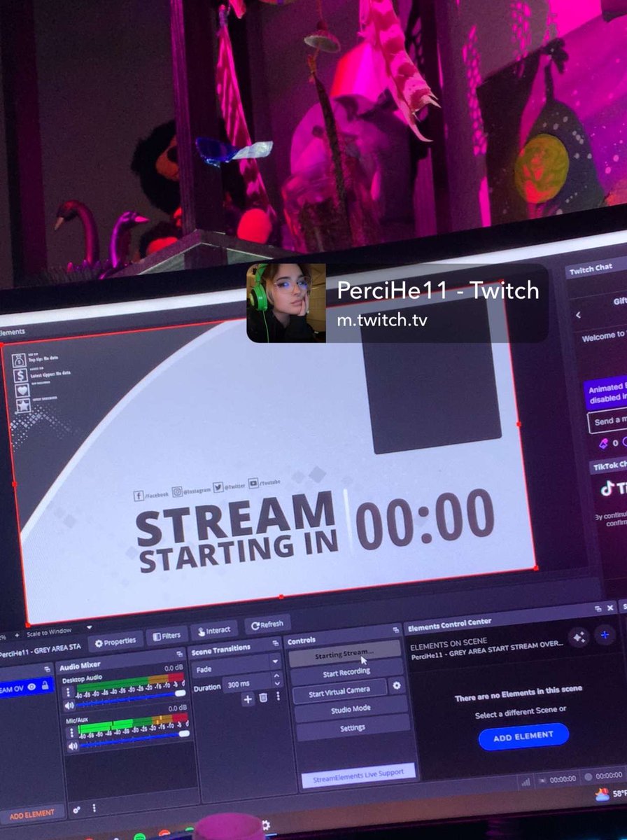 PerciHe11's tweet photo. First stream with some learning curves and screaming into the Mic <3 make sure to join again soon 😈🖤✨ https://t.co/ZH5qCdOSQc