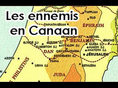 Thierry Stefhen tweet media