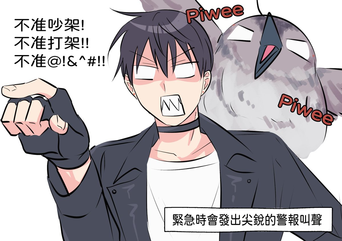 #S級
設定集 -宥辰
劍鴴piwee~piwee叫聲好可愛