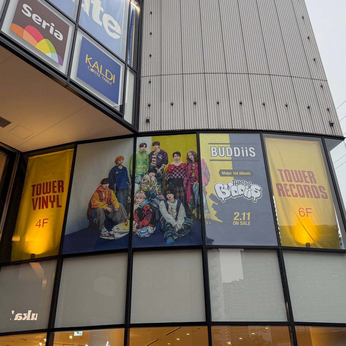 BUDDiiS】 ／ バディの皆さま〜！ メジャー1st アルバム