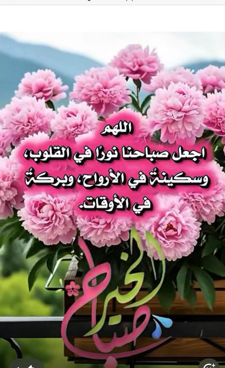🕋AN🕊 tweet media