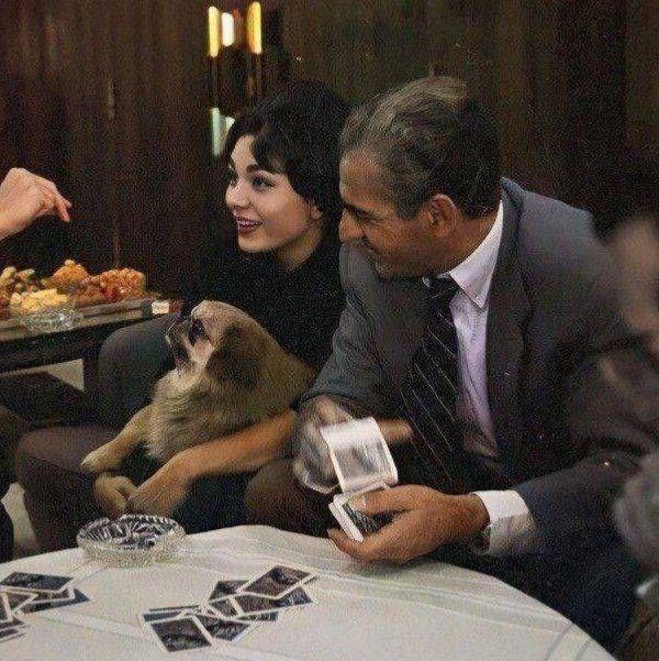 حکم شاه ما ، دل بود ..
#جاويدشاه‌