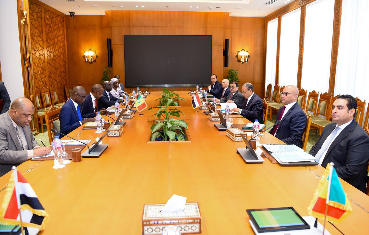 Egypt MFA Spokesperson tweet media