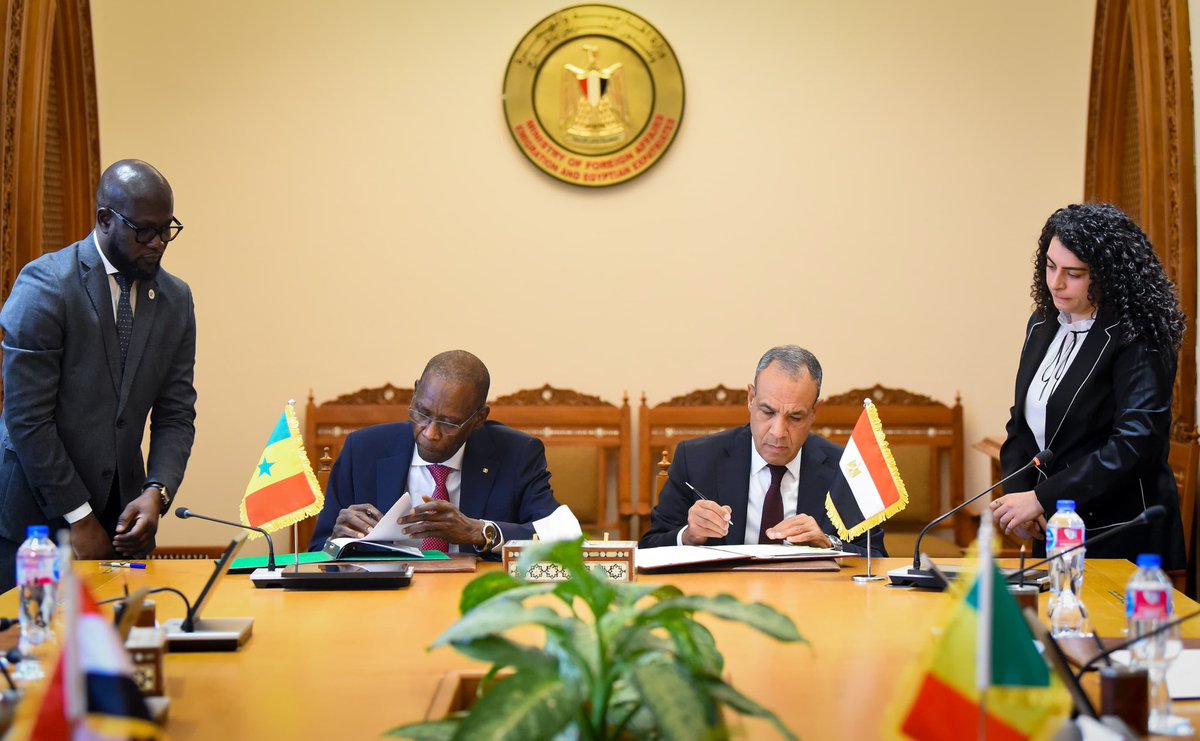 Egypt MFA Spokesperson tweet media