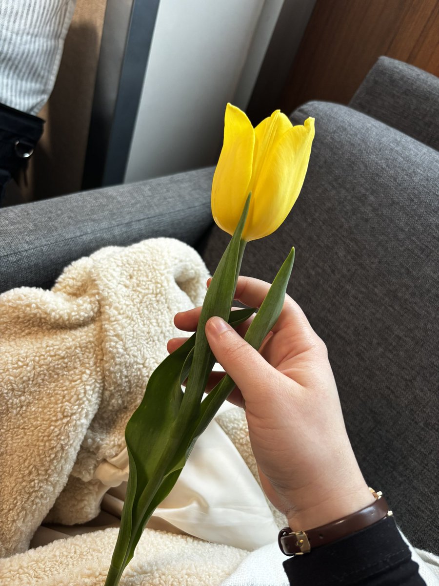 sabah arkadaşıma çiçek almak için çiçekçideyken ilk defa lale gördüm.. abi buketi hazırlarken lalelere nasıl gülümseyerek baktığımı gördü herhalde buketi verirken ‘al bakalım buda senin dedi’ bir bebisle günüm güzelken daha da güzel oldu 🤍🐣🫧🍃