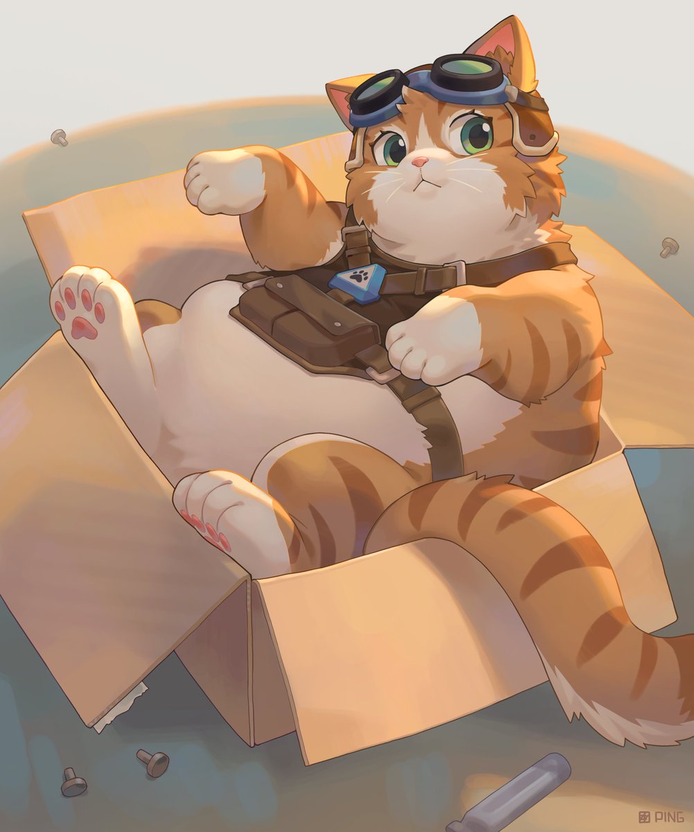 海怪平 tweet media