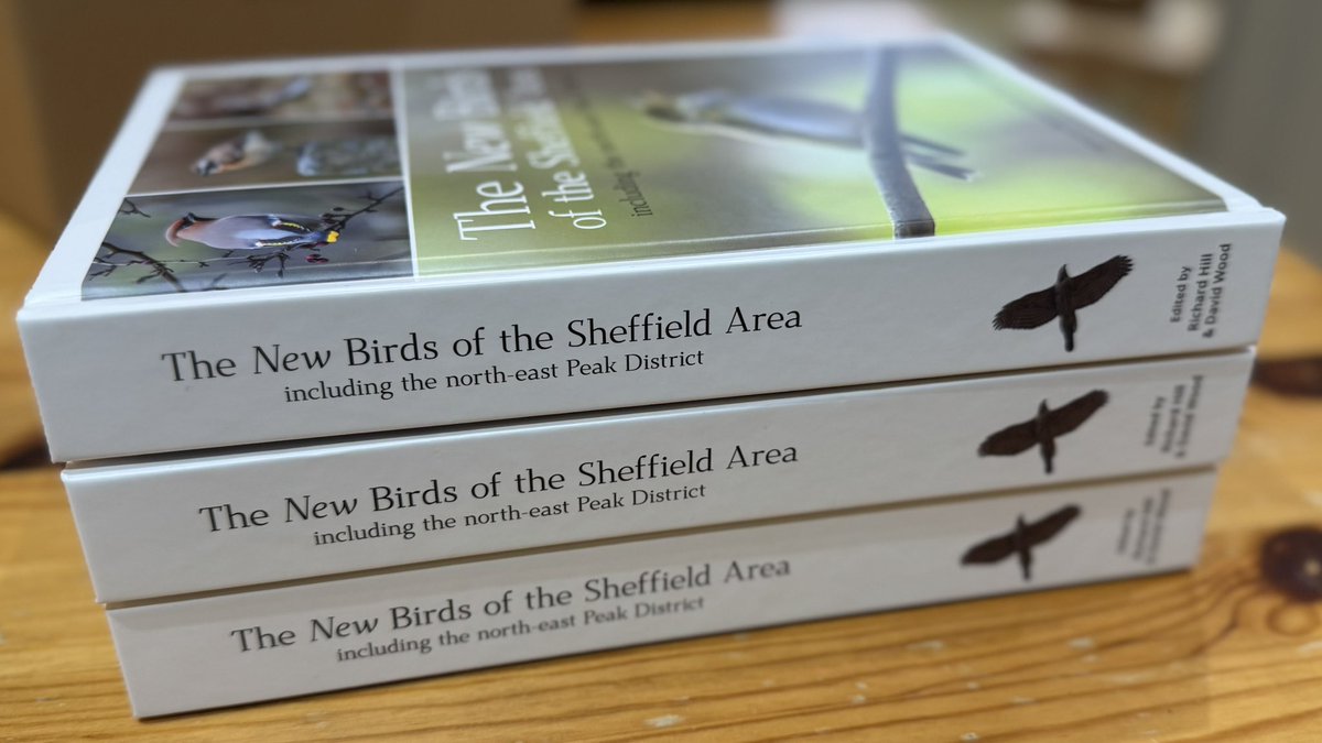 ShefBirdStudyGroup tweet media