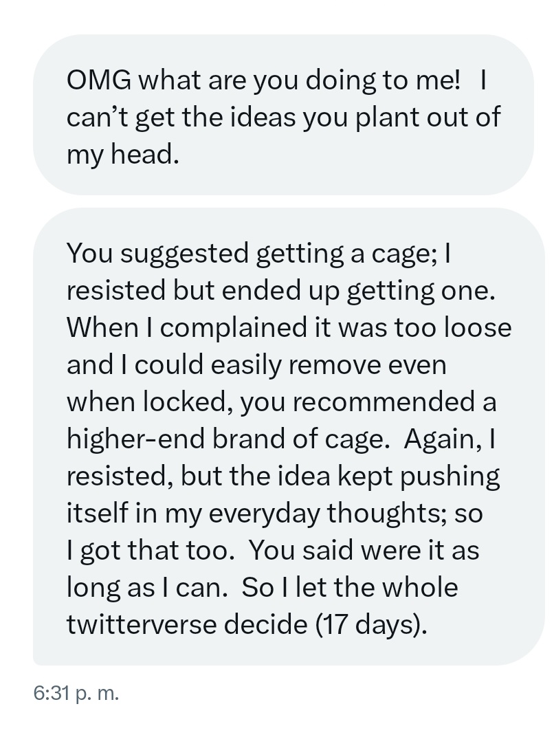 Master Domador tweet media