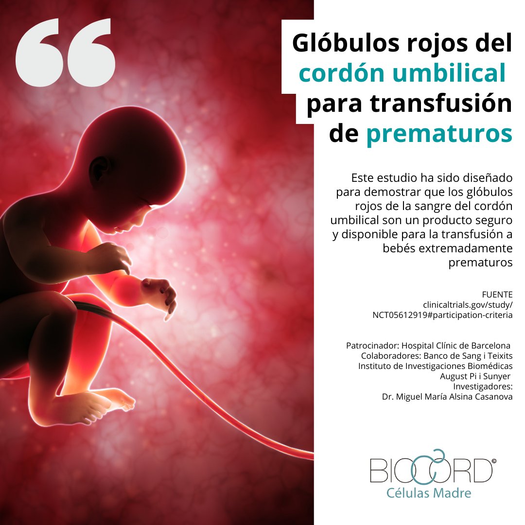 Glóbulos rojos del cordón umbilical para transfusión de prematuros

📑ESTUDIO >> clinicaltrials.gov/study/NCT05612…
<a href="/hospitalclinic/">Hospital Clínic</a>