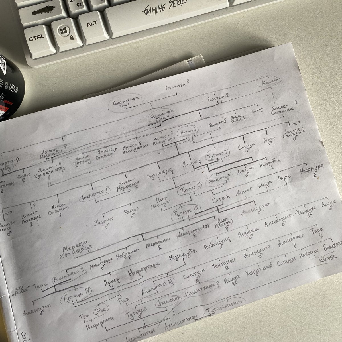 пыталась разобраться в древнеегипетской восемнадцатой династии получилось родовое древо таргариенов умели же люди в старину вайбить ниче не скажешь