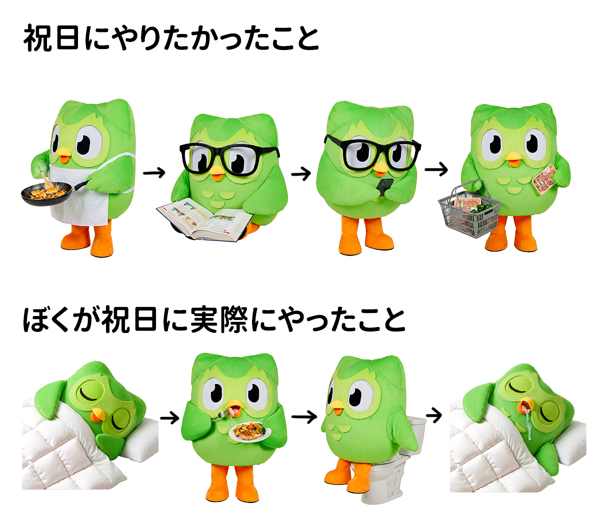 Duolingo(デュオリンゴ) | 日本公式🇯🇵 (@duolingo_japan) on Twitter photo 