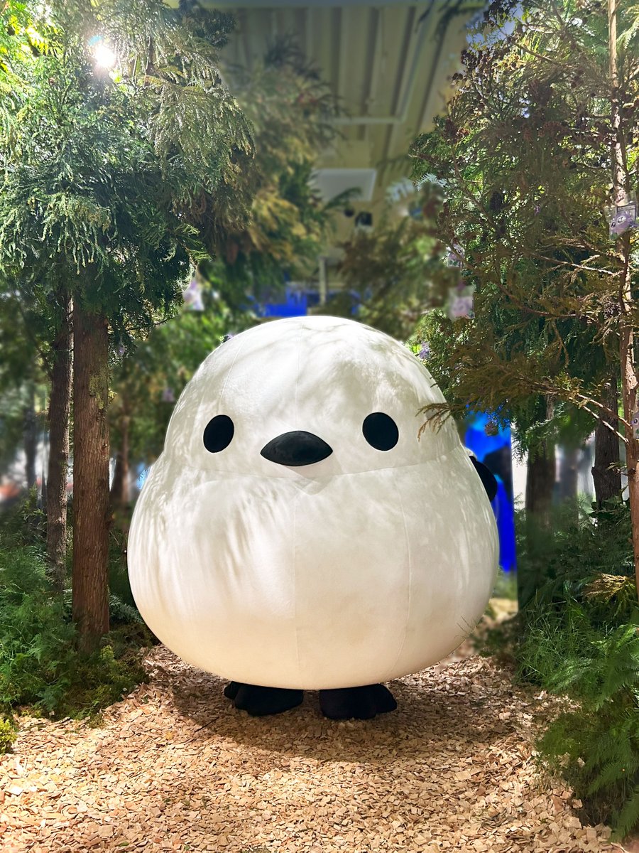 アミューズ AMUFUN【公式】 (@AMUSE_japan) / Posts / X