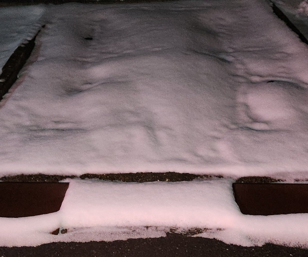 BROS1991 #WBT2026 無事に私にとってのましゃ🎶大阪の旅終了しました