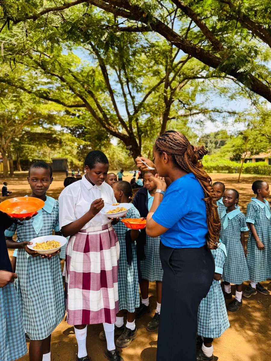 Nice Place Foundation tweet media