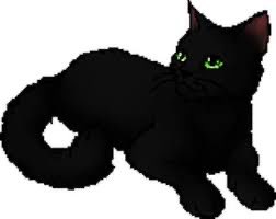 HAITUS - Warriors Character Of The Day tweet media