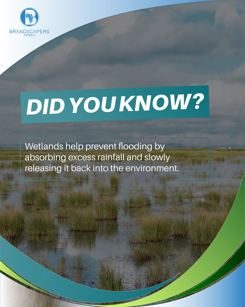 𝐃𝐢𝐝 𝐘𝐨𝐮 𝐊𝐧𝐨𝐰?

Wetlands act as natural water filters, cleaning water, reducing flood risks, supporting biodiversity, and helping secure water for future generations. Protecting wetlands safeguards our communities, our rivers, and our shared water future.