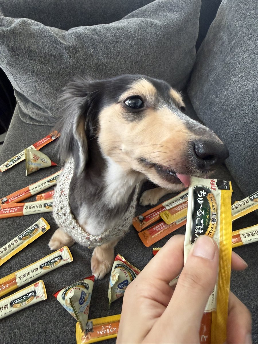 けいちゃん tweet media