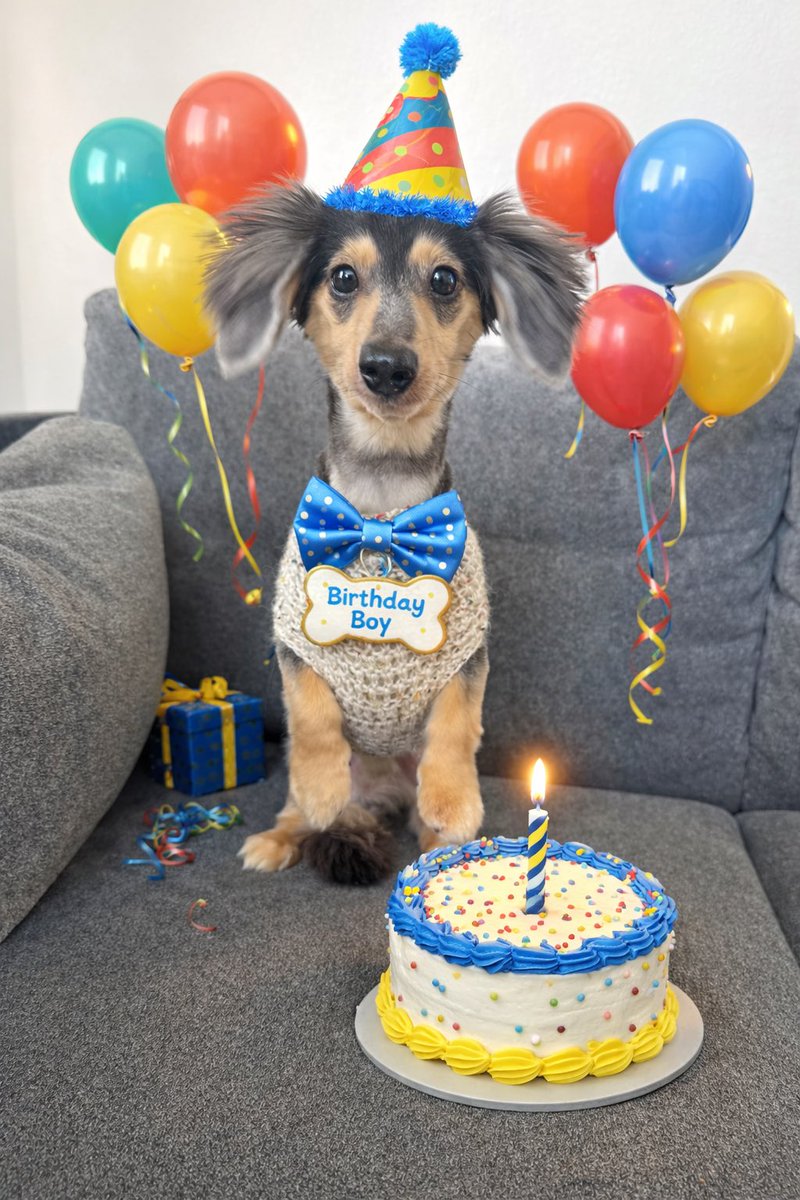 けいちゃん tweet media