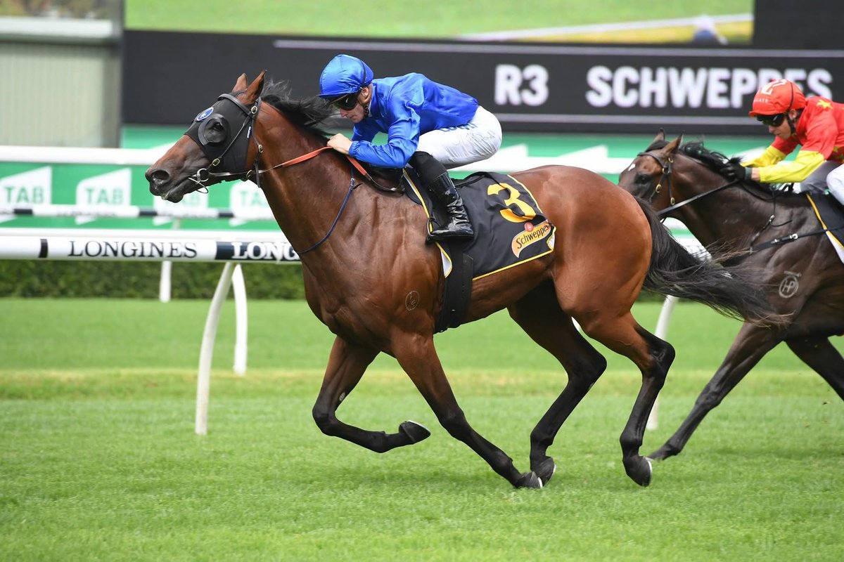 HORSERACING1002's tweet image. MICROPHONE 🇦🇺 2016
(EXCEED AND EXCEL - SUNG BY ANABAA)
#Microphone