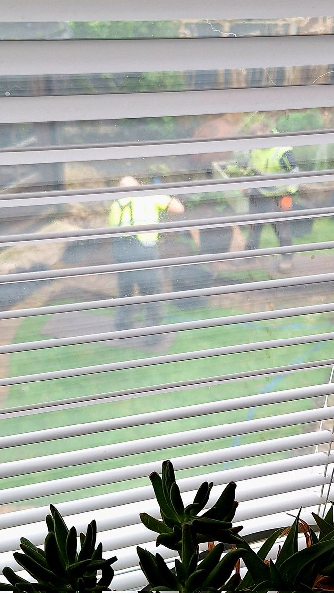 sianrobinson101's tweet image. Its happening 👏🏻👏🏻 landscapers are starting on the new path in the back garden 💚  #bricks 
It was a year since this week they put the new pathway in the new garden 💚