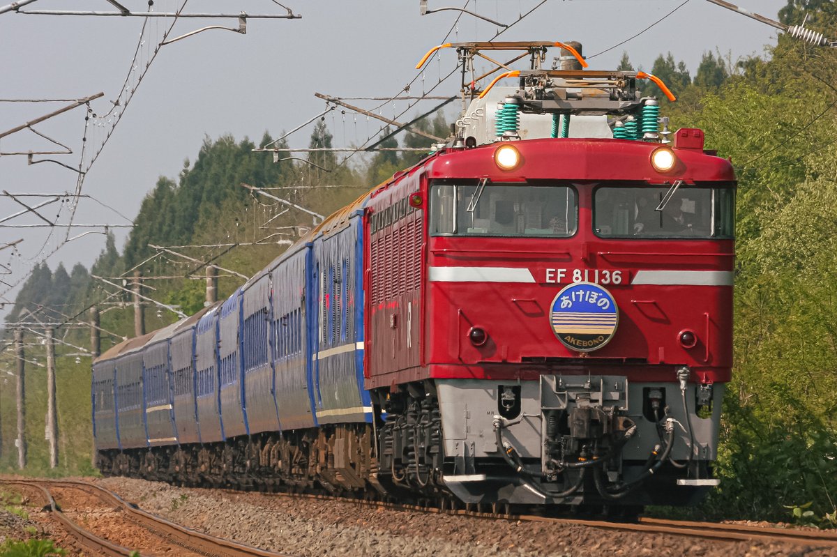 さくら📷咲良 (@sakura555_923) / Posts / X