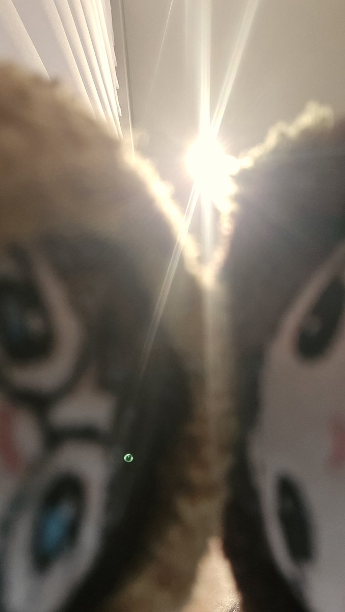 나도 유행(좀 늦었지만) 탑승해봄