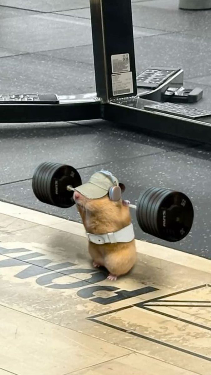 GM fam 🫶🏻 
mood for the day <a href="/NATOITIA/">NATO</a>