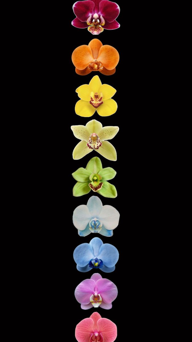 doortodivinity's tweet image. 