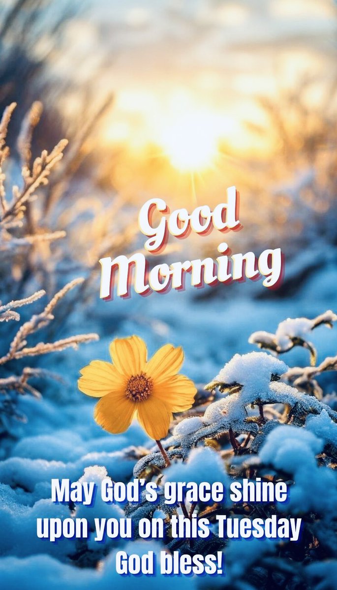 GuardTop1's tweet image. Tuesday Manna…
🙏🏾✝️🩸🫶🏾🛐❤️💯🌈🎤