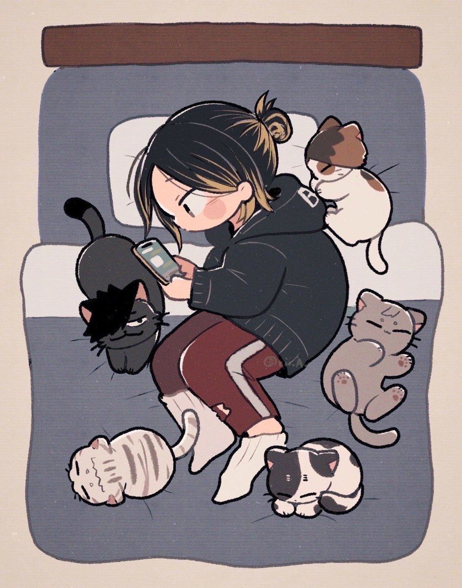 rii_A_'s tweet photo. 🐈🐾 https://t.co/UMI8KTnpNC