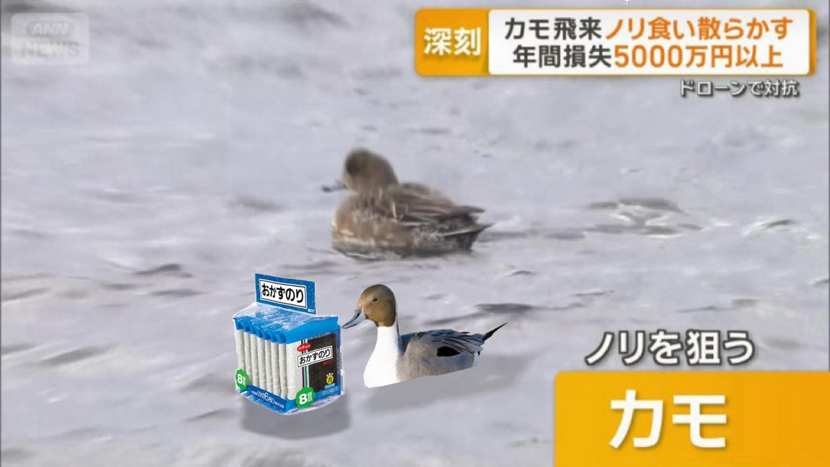 ちょこざい (@Z7ZX001) / Posts / X