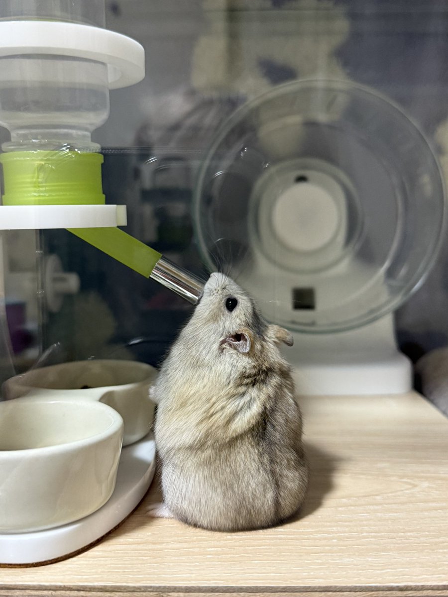 体幹って大事だね