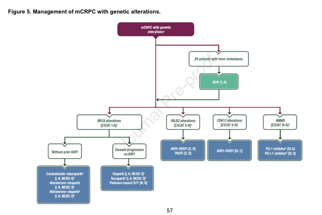 Dr Rishabh Jain tweet media