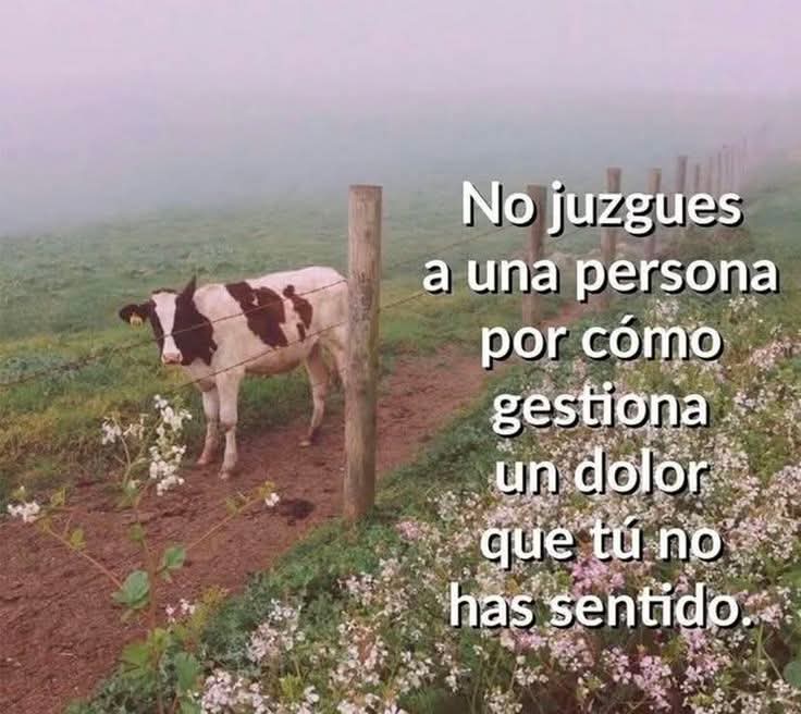 Lonely🥀 (@angelo_uf) on Twitter photo 