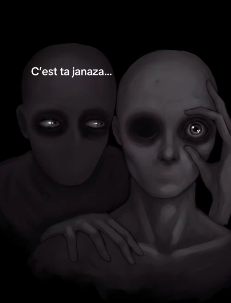 S🇲🇦🇳🇱 tweet media