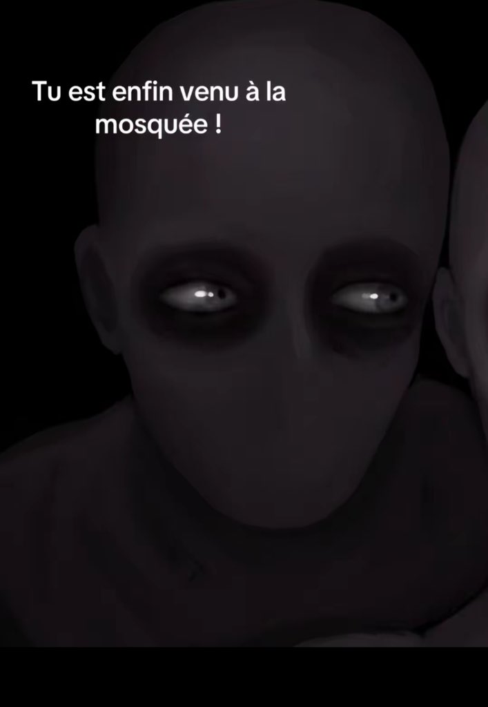 S🇲🇦🇳🇱 tweet media