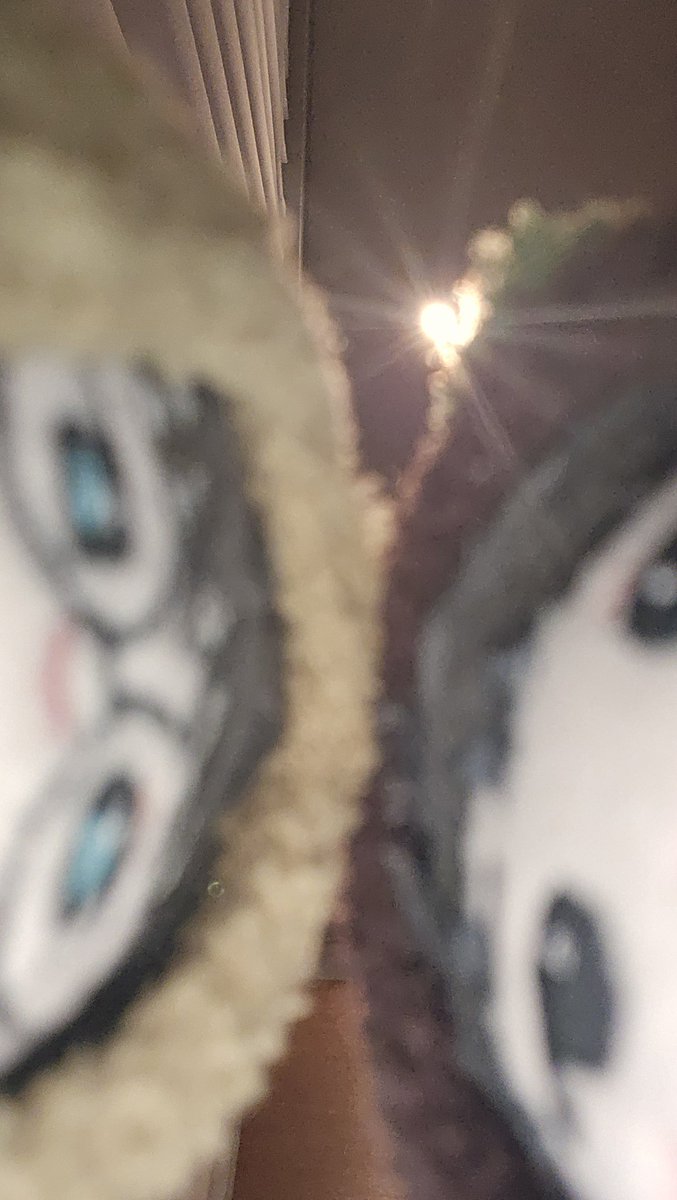 ng샷
플래시 켜놓은 줄 몰랐음