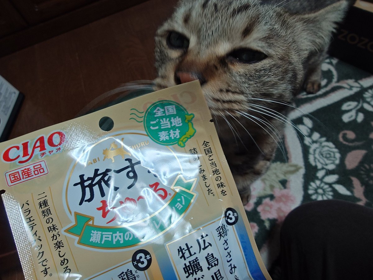 にゃん太ぁ (@nyannta_00) / Posts / X