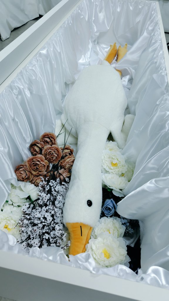 Cyandroid_'s tweet image. ガチョウと納棺体験、できます。#醒前葬