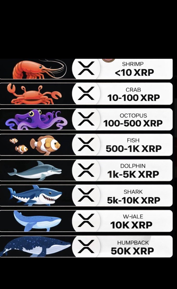 XRP
ちなみに　わたしは🦈です
まだまだ　増やしていきます　押忍
次は　🐳や　小さい方の笑

#XRP #リップル #保有枚数
#ブルバフォロバ