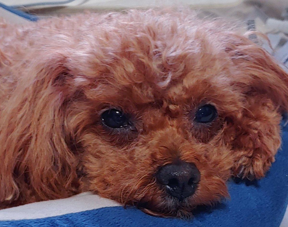 wave_rippl's tweet image. 그럼 나요?