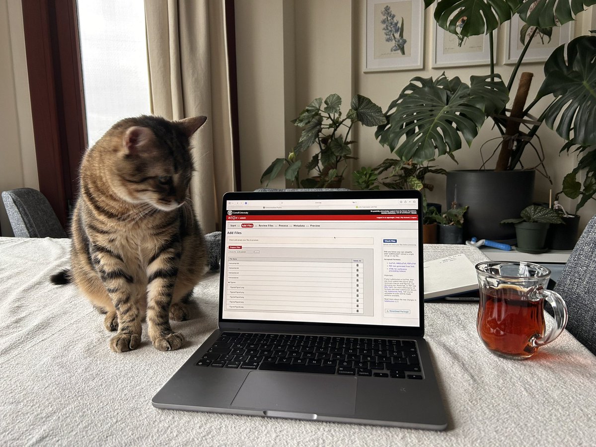 Ugur Tegin tweet media