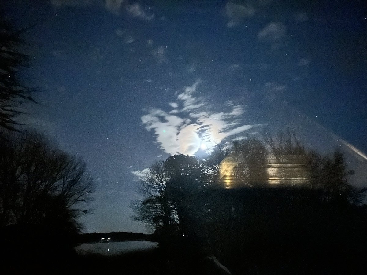 Kate Lynch Is Revising a #YA Novel tweet media