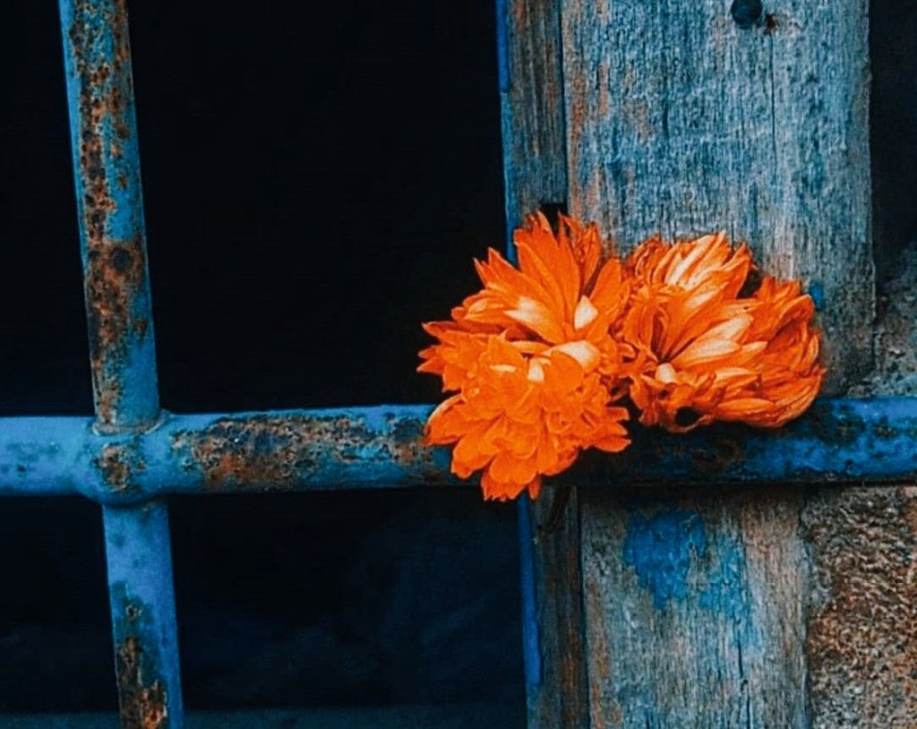 Raskolnikovsair's tweet image. "Kalbini, sana saygı duyan biri için sakla."